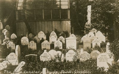 El Cementerio de Perros, Hyde Park, Londres de English Photographer