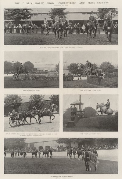 La Exposición de Caballos de Dublín, Competidores y Ganadores de Premios de English Photographer