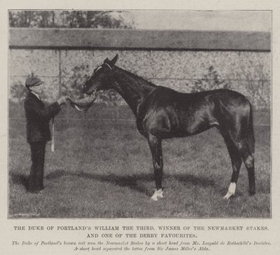 William el Tercero del Duque de Portland, Ganador de las Newmarket Stakes y uno de los Favoritos del Derby de English Photographer