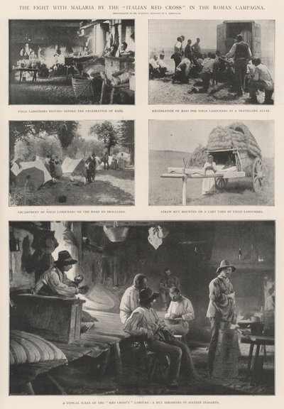 La lucha contra la malaria por la Cruz Roja Italiana en la Campagna Romana de English Photographer