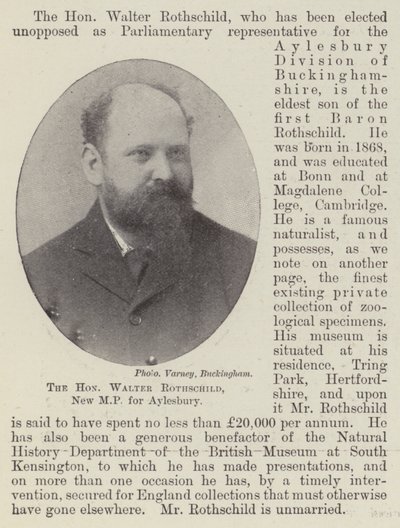 El Honorable Walter Rothschild, nuevo MP por Aylesbury de English Photographer