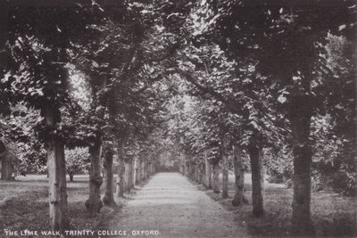 El Paseo de los Tilos, Trinity College, Oxford de English Photographer