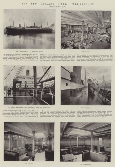 El Nuevo Liner Leyland, Winifredian de English Photographer
