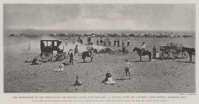 La prohibición de la importación de ganado extranjero en Inglaterra, una escena típica en un rancho de Buenos Aires, día de marcado de English Photographer