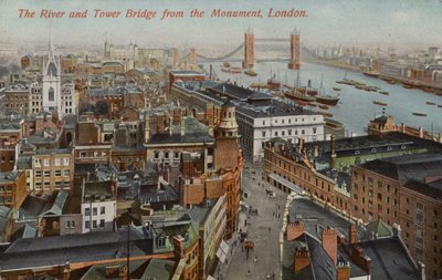El Río y el Puente de la Torre desde el Monumento, Londres de English Photographer