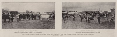 Exposición de la Sociedad Real de Agricultura en Carlisle, la sexagésima cuarta y última reunión provincial de English Photographer