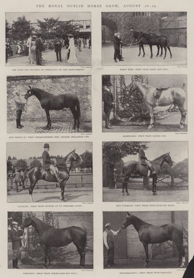 El Royal Dublin Horse Show, 26-29 de agosto de English Photographer