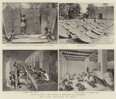 La industria de la seda en India de English Photographer
