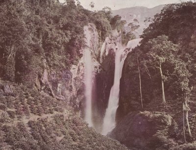 Las Cataratas Gemelas (Cultivo de café en primer plano), Ceilán de English Photographer