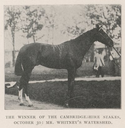 El ganador de las apuestas de Cambridgeshire, 30 de octubre, Watershed de Mr. Whitney de English Photographer