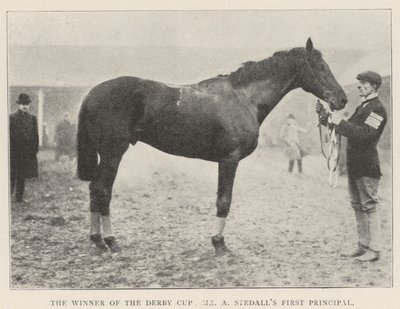 El ganador de la Copa Derby, el primer principal de Mr A Stedall de English Photographer