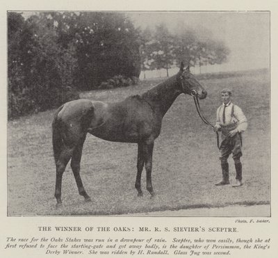 El ganador de los Oaks, el Sceptre de Mr. R S Sievier de English Photographer