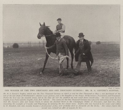 El ganador de las Dos Mil y Mil Guineas, el Sceptre de Mr. R S Sievier de English Photographer