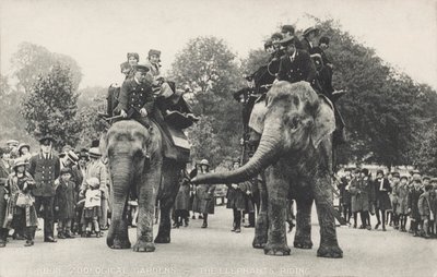 Los elefantes del Zoológico de Londres en Regent