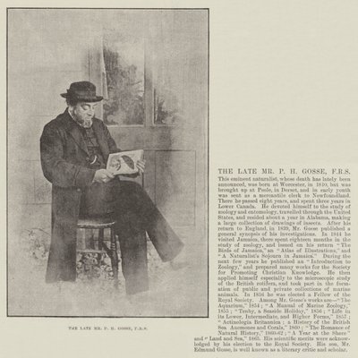 El difunto Sr. P H Gosse, FRS de English Photographer