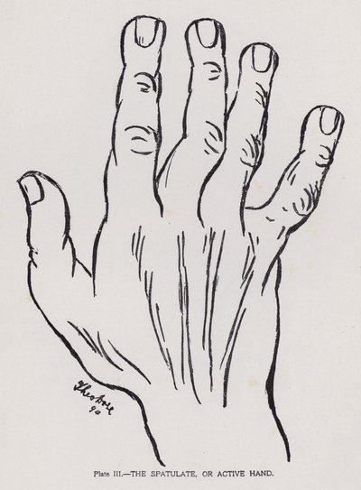 La mano espatulada o activa (fotografía en blanco y negro) de English Photographer