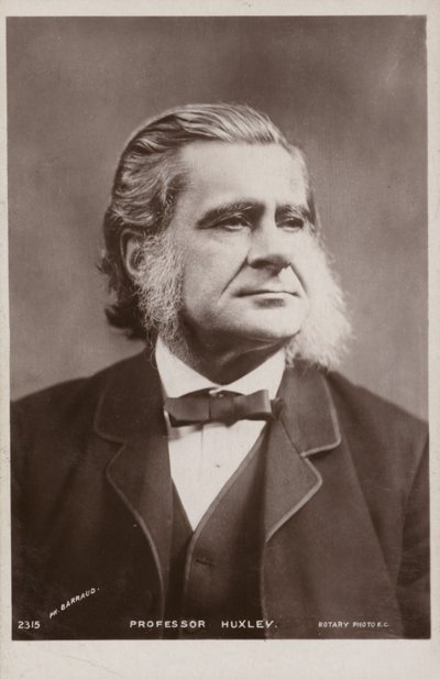 Thomas Henry Huxley (1825-1895), biólogo inglés de English Photographer