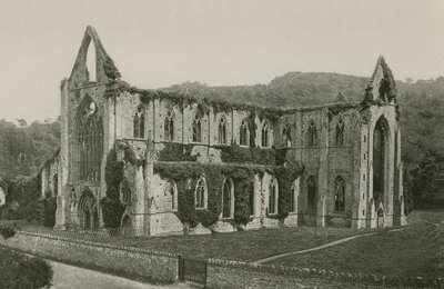 Abadía de Tintern de English Photographer