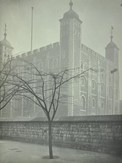 Torre de Londres, Tower Hill: Torre Blanca, 1899 de English Photographer