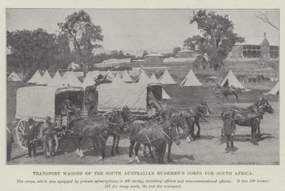 Carros de transporte del Cuerpo de Bushmen de Australia del Sur para Sudáfrica de English Photographer