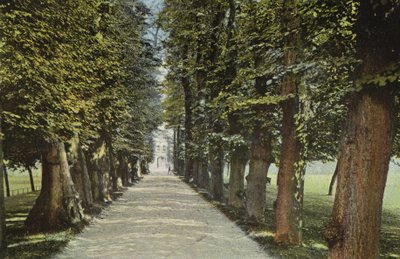 Trinity College, la Avenida de English Photographer