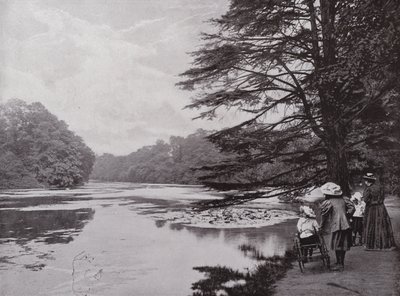 Parque Wanstead de English Photographer