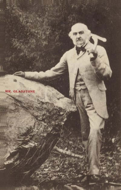 William Ewart Gladstone de English Photographer