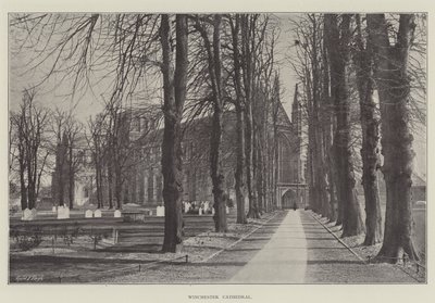 Catedral de Winchester de English Photographer
