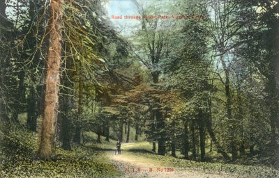 Windsor Great Park, Virginia Water (foto en color) de English Photographer