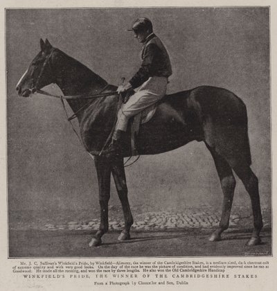 Winkfields Pride, el ganador de las apuestas de Cambridgeshire de English Photographer