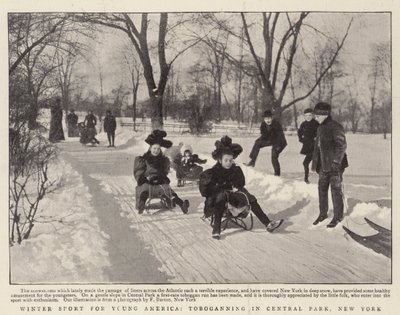 Deporte de invierno para la joven América, tobogán en Central Park, Nueva York de English Photographer