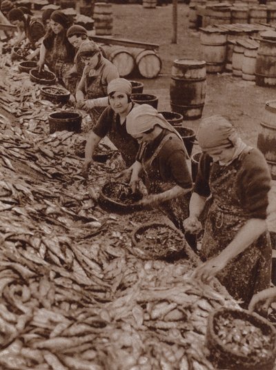 Mujeres en Great Yarmouth partiendo y limpiando arenques (foto b/n) de English Photographer