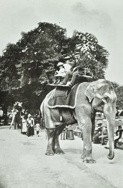 Jardines Zoológicos, Regents Park: paseos en elefante, Londres, c.1895 de English Photographer