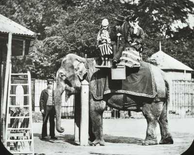 Jardines Zoológicos, Regents Park: elefante con adultos y niños paseando, Zoológico de Londres, 1894 de English Photographer