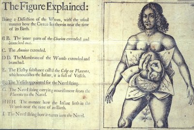 1177 b.19 