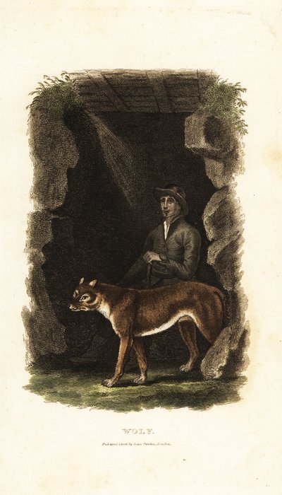 Caballero inglés del siglo XVIII y su lobo domesticado, Canis lupus, en la entrada de una cueva de English School
