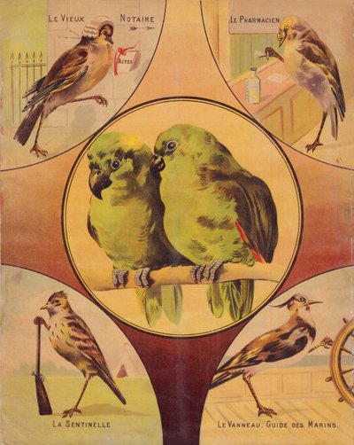 4ª de cubierta : pareja de pájaros y otros pájaros, inglés de English School