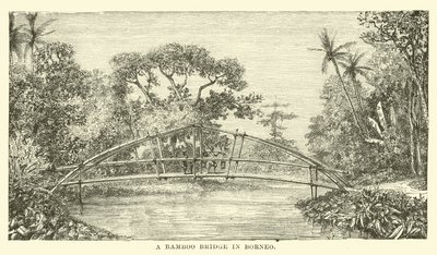 Puente de bambú en Borneo de English School
