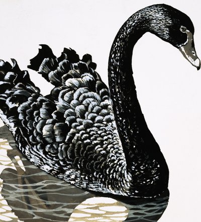 Un cisne negro de English School