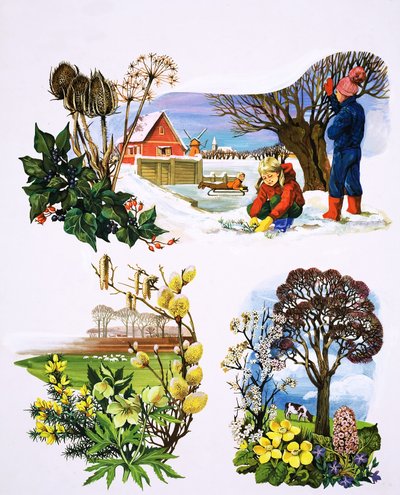 Un calendario de plantas, ilustración de "Érase una vez". de English School