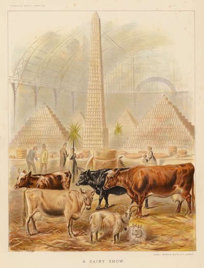 A Dairy Show (litografía en color) de English School