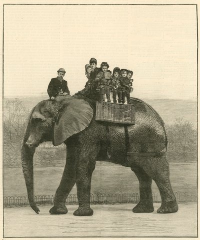 Un paseo de despedida en Jumbo de English School
