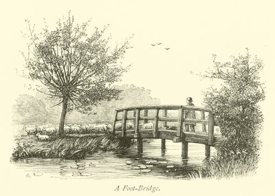 Un puente peatonal de English School