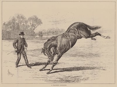 Un joven díscolo (grabado) de English School