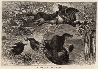 Grupo de cazadores furtivos (grabado) de English School