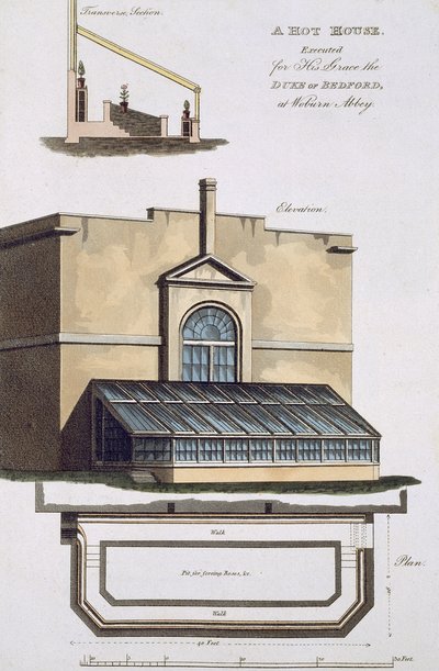 Un Invernadero ejecutado para su Gracia el Duque de Bedford en Woburn Abbey, 1806 de English School