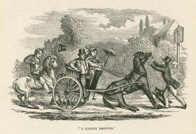 "Un gotero de riñón" (grabado) de English School