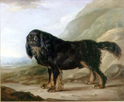 Un Spaniel King Charles en un Paisaje de English School