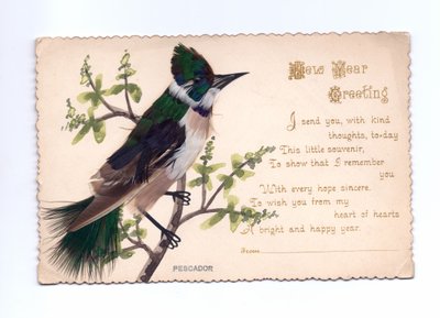 Tarjeta de felicitación de Año Nuevo de un martín pescador hecho de plumas montadas en un árbol pintado a mano, Circa 1900 de English School