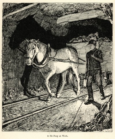 Un pony de mina trabajando (grabado) de English School